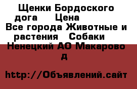 Щенки Бордоского дога.  › Цена ­ 30 000 - Все города Животные и растения » Собаки   . Ненецкий АО,Макарово д.